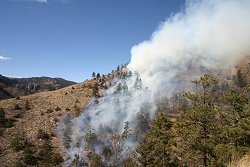 Wildfire On Storm Mountain
