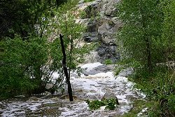 Chemical Laden Runoff in National Forest stream