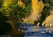 Big Thompson River - Estes Park, Colorado